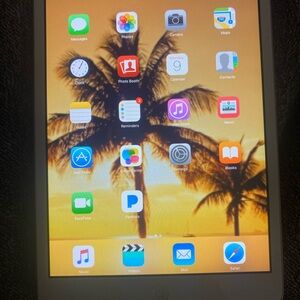 Apple iPad Mini Silver